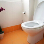 The Dual Flush Toilet Installation Aka The Low Flow Toilets Rebate Scam
